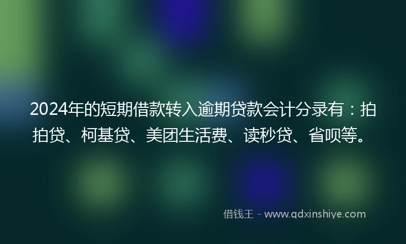 2024年的短期借款转入逾期贷款会计分录有：拍拍贷、柯基贷、美团生活费、读秒贷、省呗等。