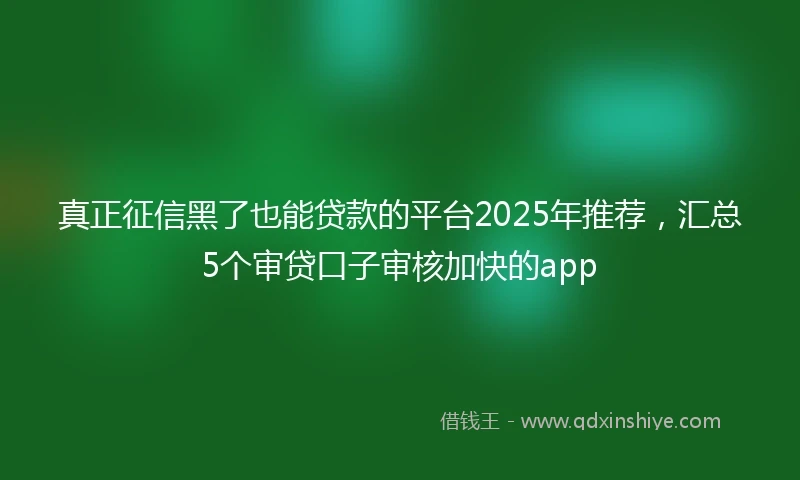 真正征信黑了也能贷款的平台2025年推荐,汇总5个审贷口子审核加快的app