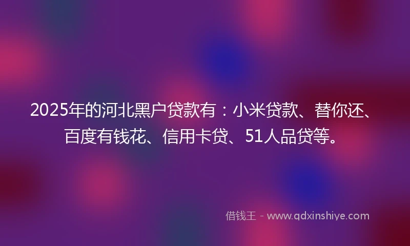 2025年的河北黑户贷款有：小米贷款、替你还、百度有钱花、信用卡贷、51人品贷等。