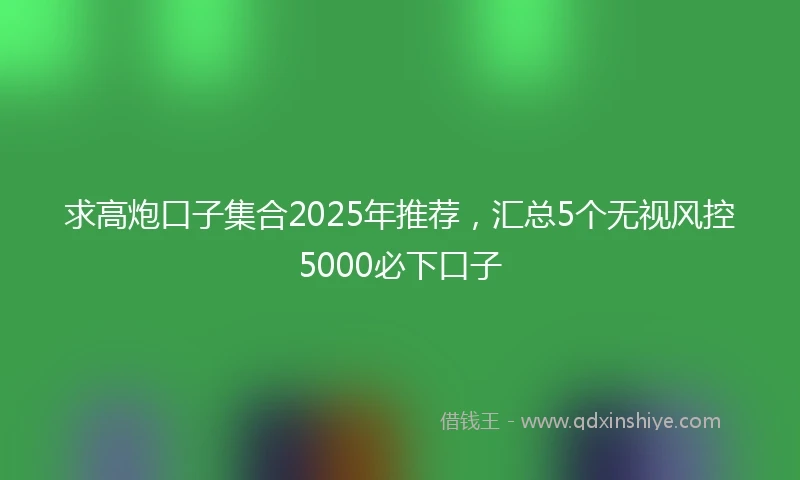 求高炮口子集合2025年推荐，汇总5个无视风控5000必下口子