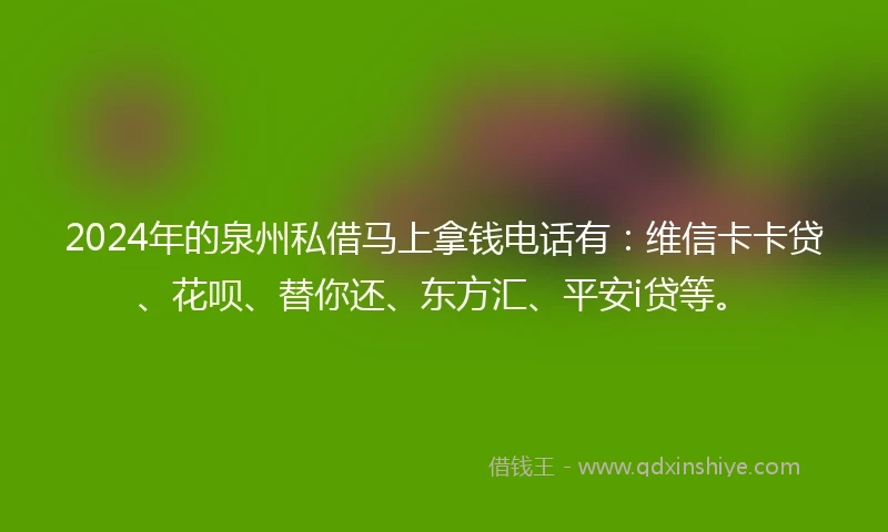 2024年的泉州私借马上拿钱电话有：维信卡卡贷、花呗、替你还、东方汇、平安i贷等。