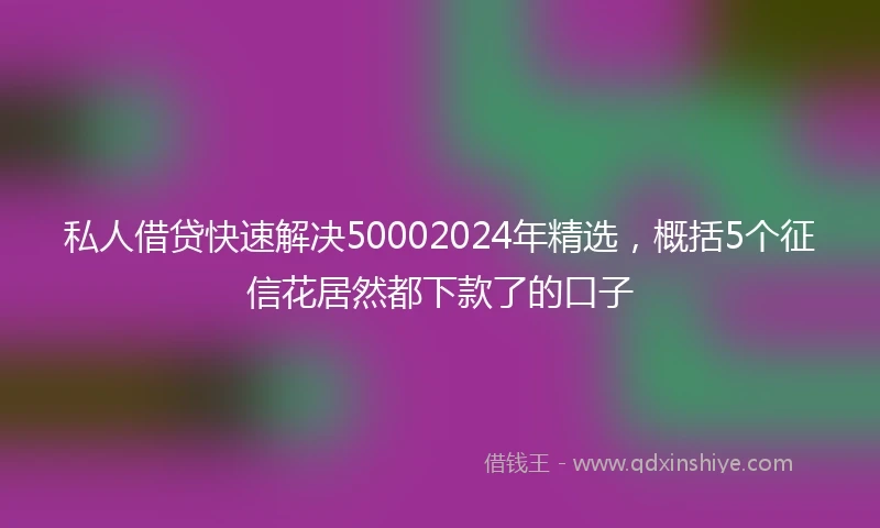 私人借贷快速解决50002024年精选，概括5个征信花居然都下款了的口子