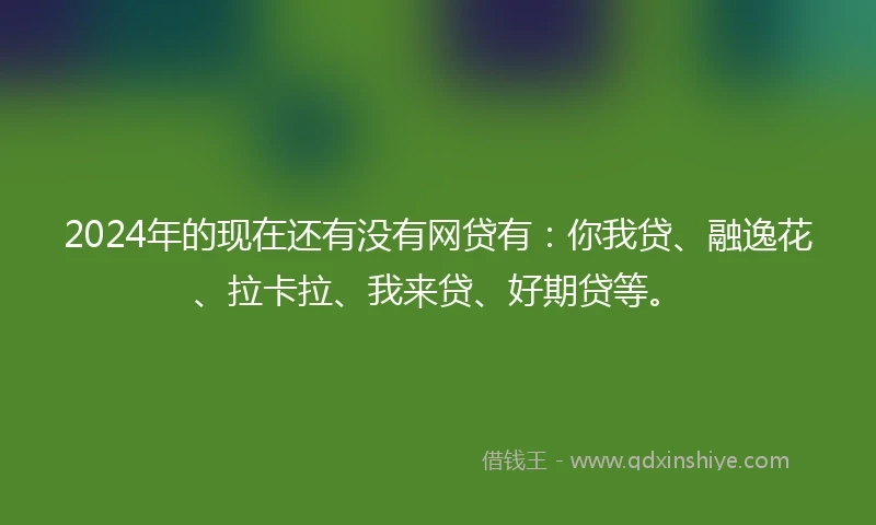 2024年的现在还有没有网贷有：你我贷、融逸花、拉卡拉、我来贷、好期贷等。