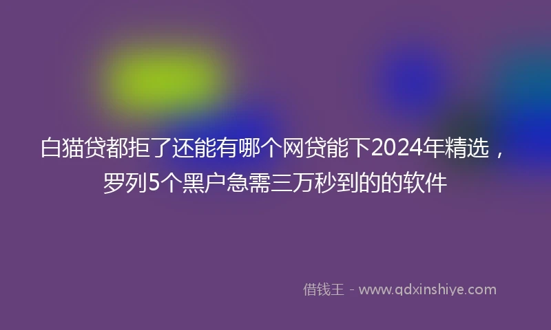 白猫贷都拒了还能有哪个网贷能下2024年精选，罗列5个黑户急需三万秒到的的软件
