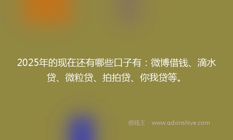 2025年的现在还有哪些口子有：微博借钱、滴水贷、微粒贷、拍拍贷、你我贷等。