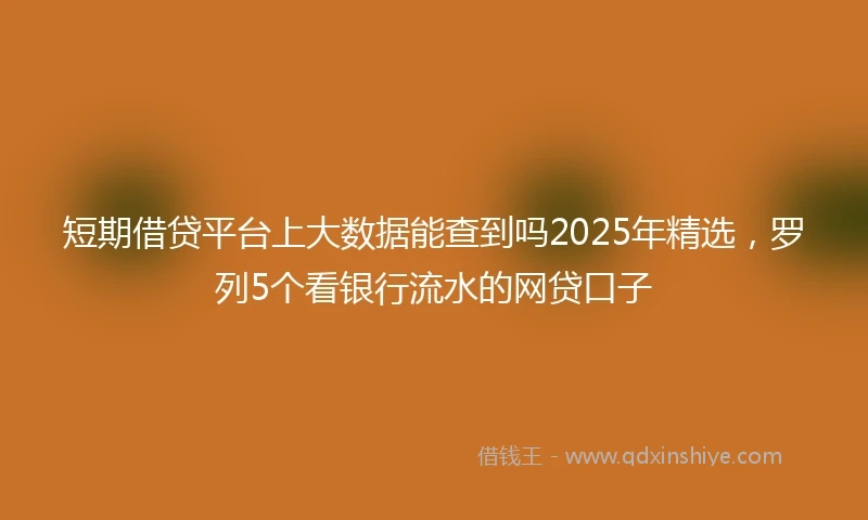短期借贷平台上大数据能查到吗2025年精选，罗列5个看银行流水的网贷口子