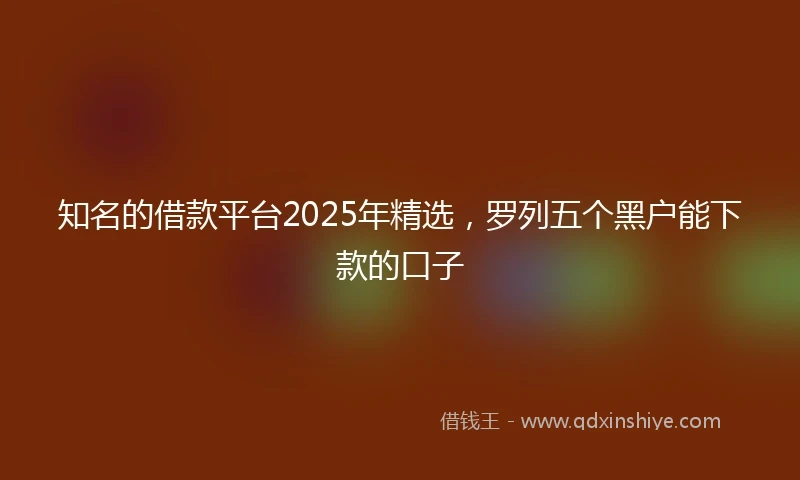 知名的借款平台2025年精选，罗列五个黑户能下款的口子