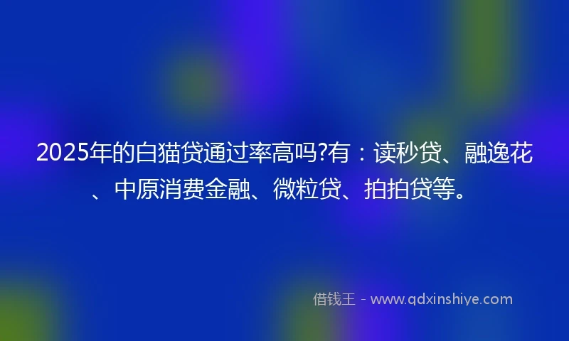 2025年的白猫贷通过率高吗?有：读秒贷、融逸花、中原消费金融、微粒贷、拍拍贷等。