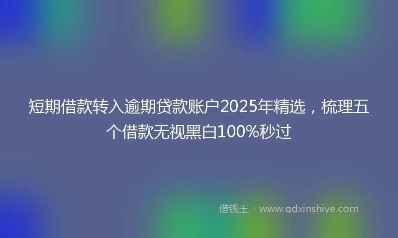 短期借款转入逾期贷款账户2025年精选，梳理五个借款无视黑白100%秒过