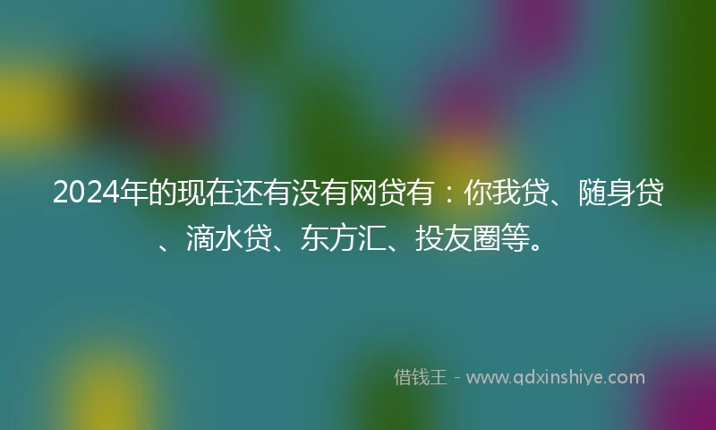 2024年的现在还有没有网贷有：你我贷、随身贷、滴水贷、东方汇、投友圈等。