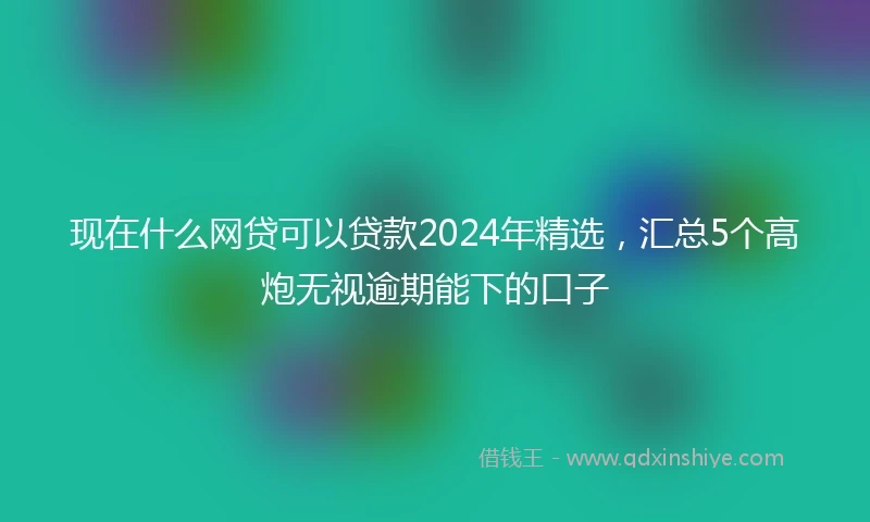 现在什么网贷可以贷款2024年精选,汇总5个高炮无视逾期能下的口子