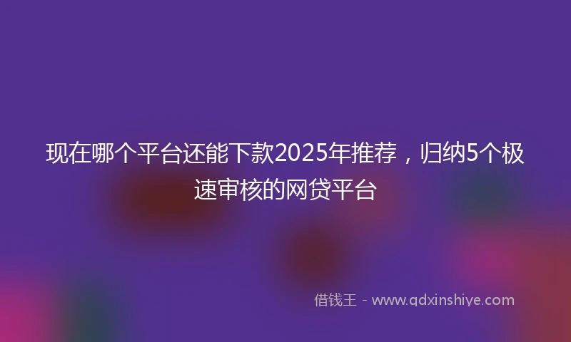 现在哪个平台还能下款2025年推荐,归纳5个极速审核的网贷平台