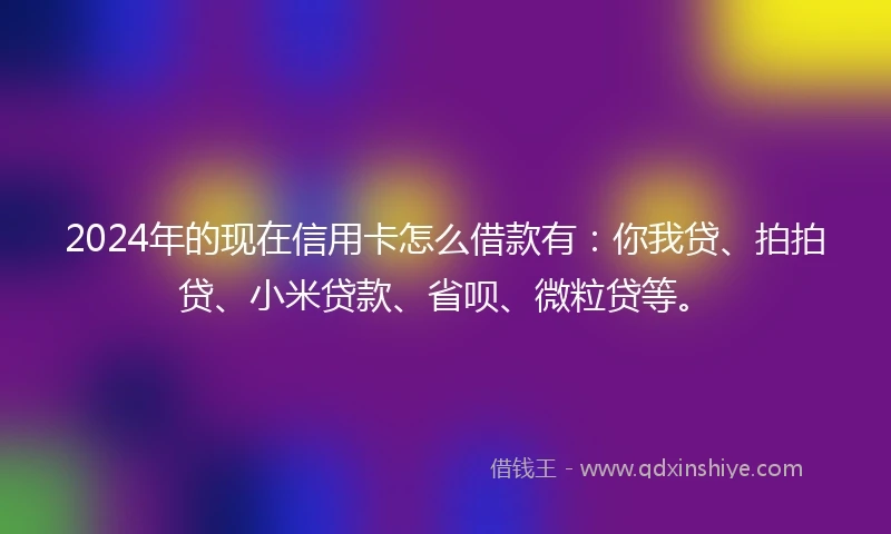 2024年的现在信用卡怎么借款有：你我贷、拍拍贷、小米贷款、省呗、微粒贷等。