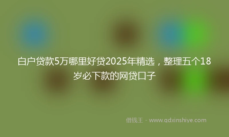 白户贷款5万哪里好贷2025年精选，整理五个18岁必下款的网贷口子