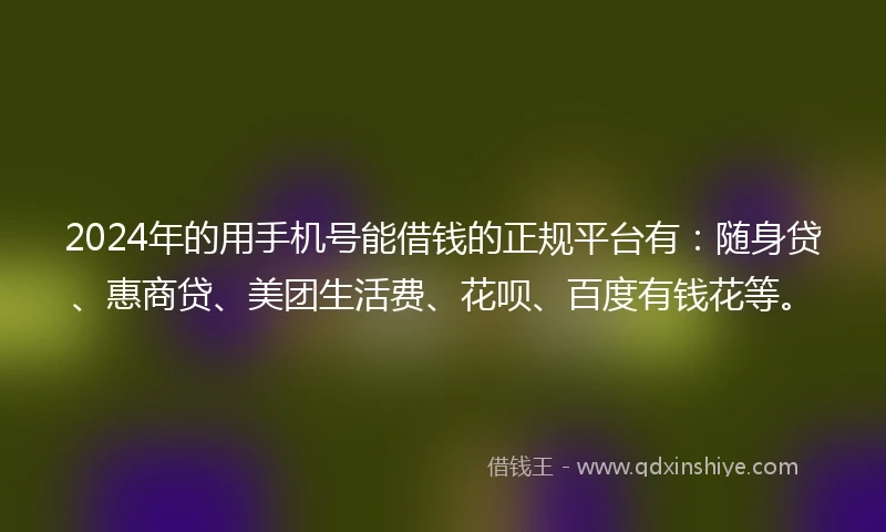 2024年的用手机号能借钱的正规平台有:随身贷、惠商贷、美团生活费、花呗、百度有钱花等。