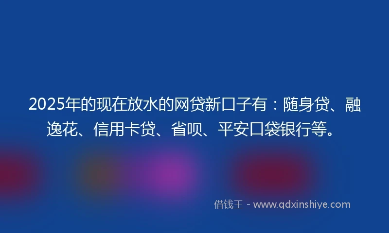 2025年的现在放水的网贷新口子有：随身贷、融逸花、信用卡贷、省呗、平安口袋银行等。