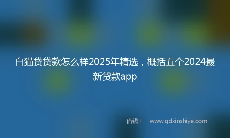 白猫贷贷款怎么样2025年精选，概括五个2024最新贷款app