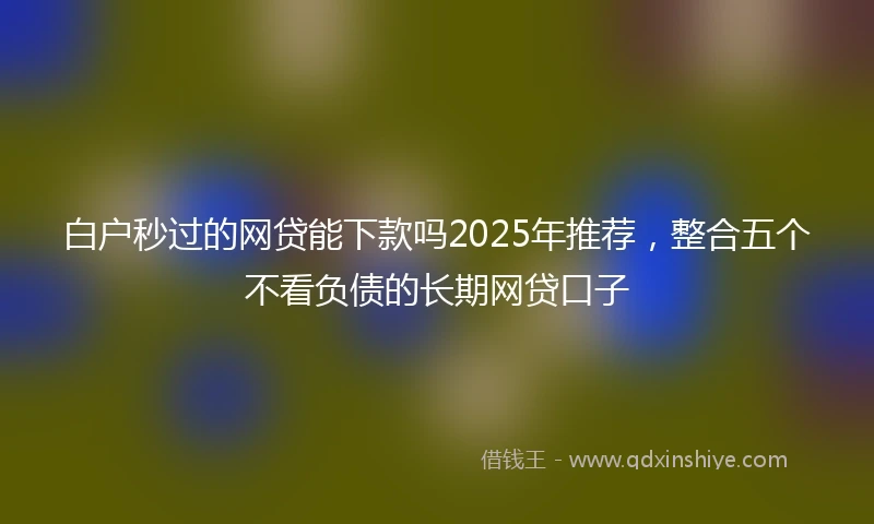 白户秒过的网贷能下款吗2025年推荐，整合五个不看负债的长期网贷口子