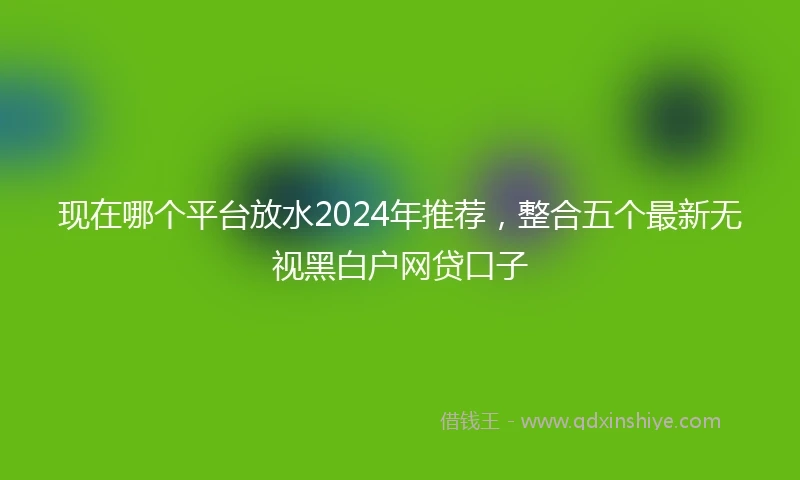 现在哪个平台放水2024年推荐，整合五个最新无视黑白户网贷口子
