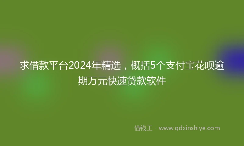 求借款平台2024年精选，概括5个支付宝花呗逾期万元快速贷款软件