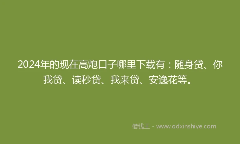 2024年的现在高炮口子哪里下载有：随身贷、你我贷、读秒贷、我来贷、安逸花等。