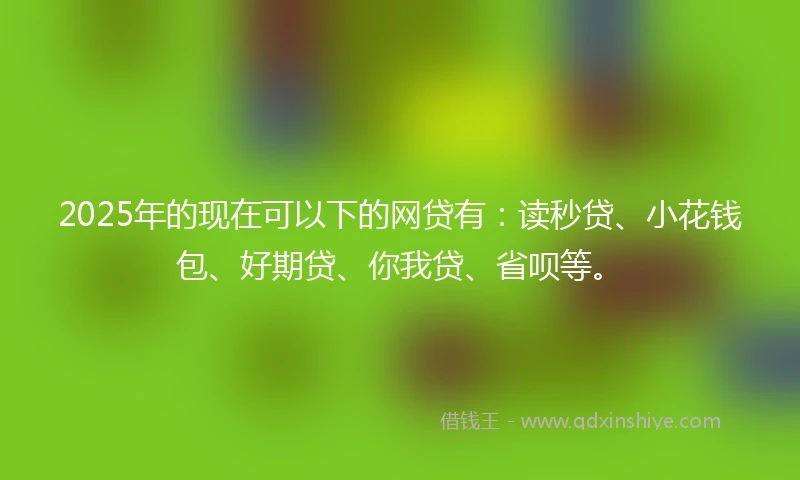 2025年的现在可以下的网贷有：读秒贷、小花钱包、好期贷、你我贷、省呗等。