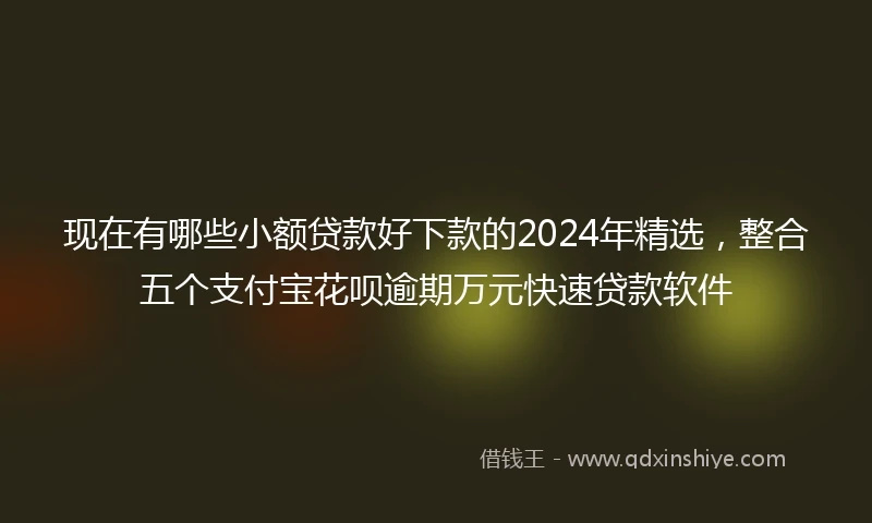 现在有哪些小额贷款好下款的2024年精选，整合五个支付宝花呗逾期万元快速贷款软件
