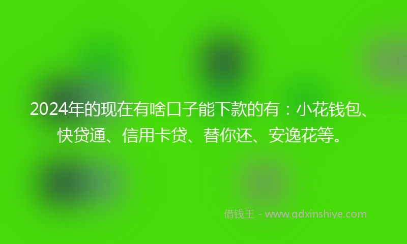 2024年的现在有啥口子能下款的有：小花钱包、快贷通、信用卡贷、替你还、安逸花等。