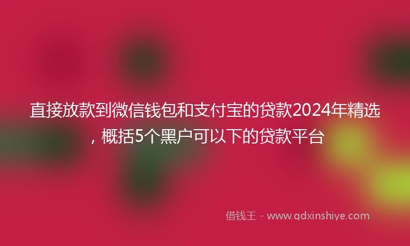 直接放款到微信钱包和支付宝的贷款2024年精选，概括5个黑户可以下的贷款平台