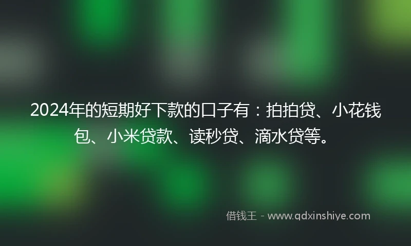 2024年的短期好下款的口子有：拍拍贷、小花钱包、小米贷款、读秒贷、滴水贷等。