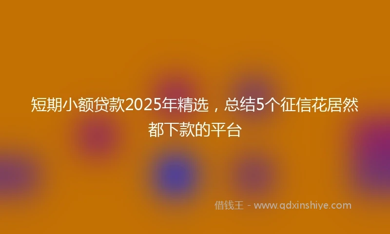 短期小额贷款2025年精选，总结5个征信花居然都下款的平台