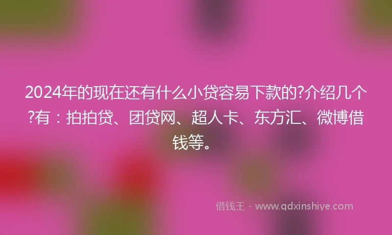 2024年的现在还有什么小贷容易下款的?介绍几个?有：拍拍贷、团贷网、超人卡、东方汇、微博借钱等。