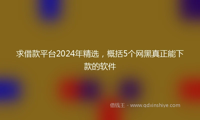 求借款平台2024年精选，概括5个网黑真正能下款的软件