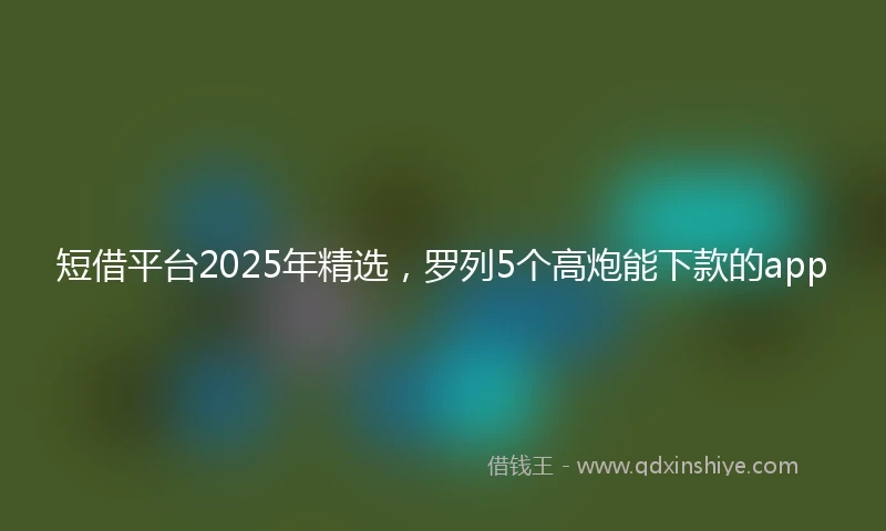 短借平台2025年精选，罗列5个高炮能下款的app