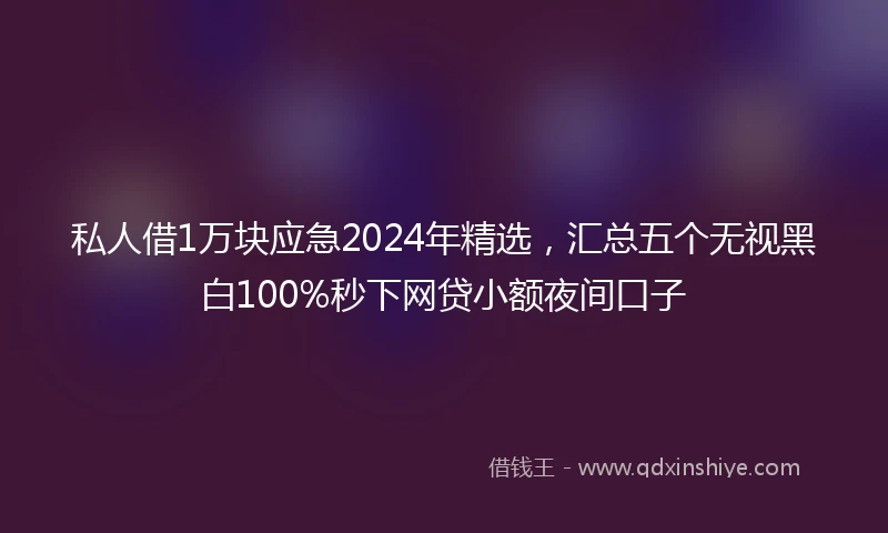 私人借1万块应急2024年精选，汇总五个无视黑白100%秒下网贷小额夜间口子
