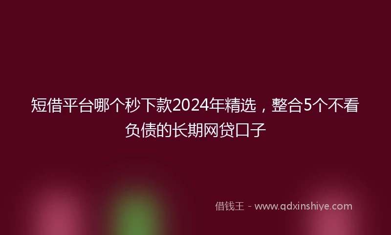 短借平台哪个秒下款2024年精选，整合5个不看负债的长期网贷口子