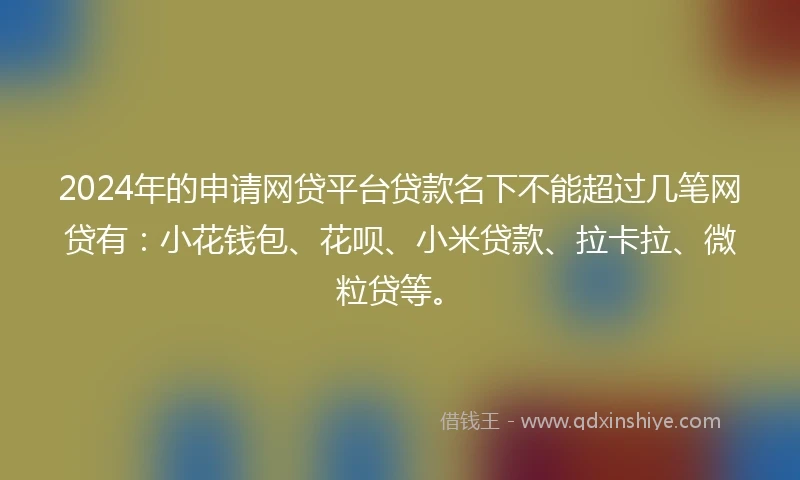 2024年的申请网贷平台贷款名下不能超过几笔网贷有：小花钱包、花呗、小米贷款、拉卡拉、微粒贷等。