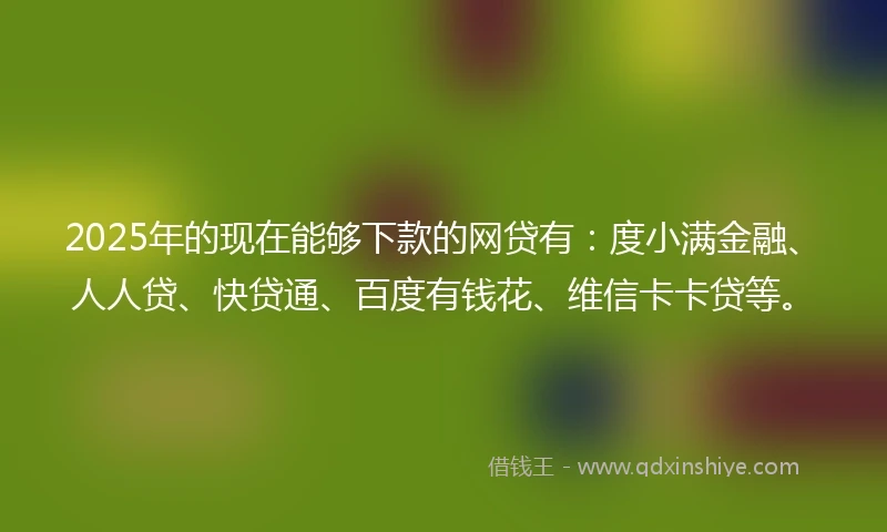 2025年的现在能够下款的网贷有：度小满金融、人人贷、快贷通、百度有钱花、维信卡卡贷等。