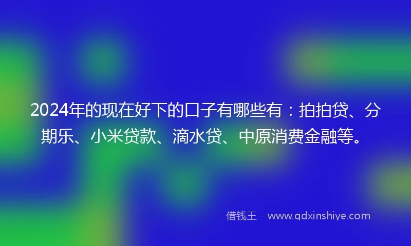 2024年的现在好下的口子有哪些有：拍拍贷、分期乐、小米贷款、滴水贷、中原消费金融等。
