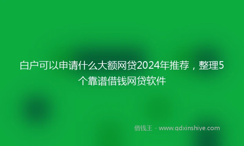 白户可以申请什么大额网贷2024年推荐，整理5个靠谱借钱网贷软件
