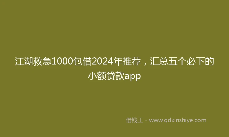 江湖救急1000包借2024年推荐，汇总五个必下的小额贷款app