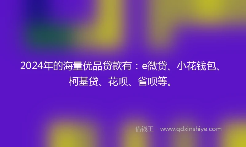 2024年的海量优品贷款有：e微贷、小花钱包、柯基贷、花呗、省呗等。