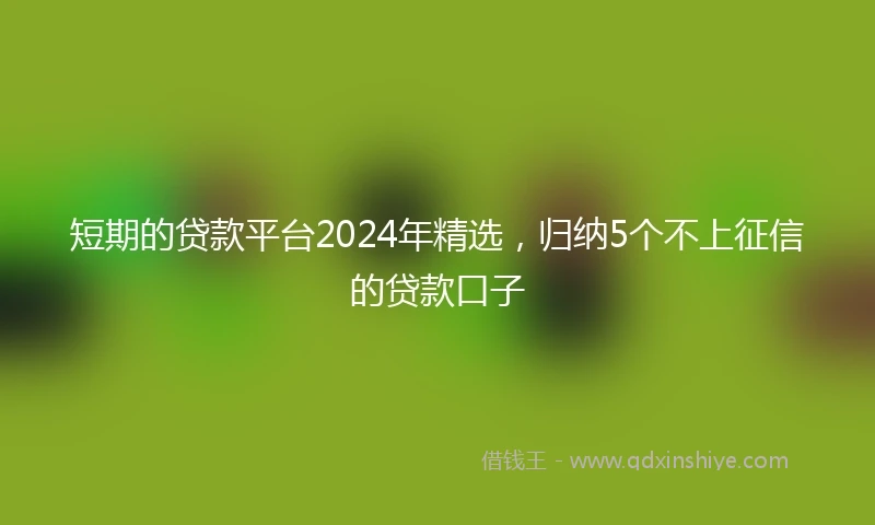 短期的贷款平台2024年精选，归纳5个不上征信的贷款口子