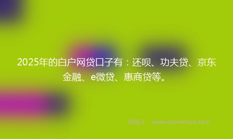 2025年的白户网贷口子有：还呗、功夫贷、京东金融、e微贷、惠商贷等。