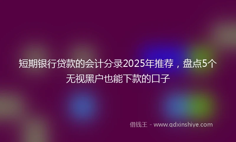 短期银行贷款的会计分录2025年推荐，盘点5个无视黑户也能下款的口子