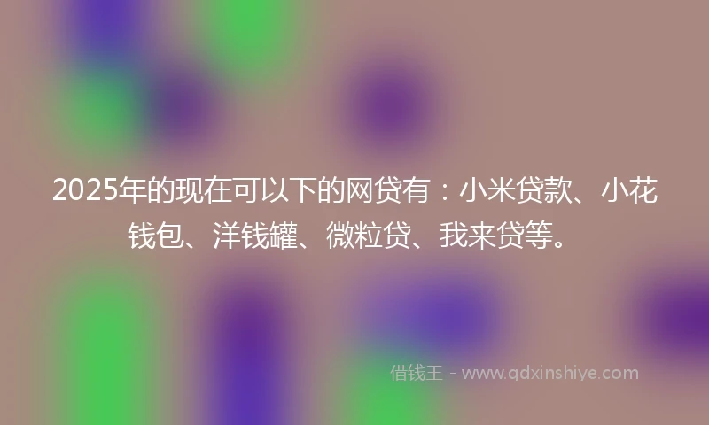 2025年的现在可以下的网贷有：小米贷款、小花钱包、洋钱罐、微粒贷、我来贷等。