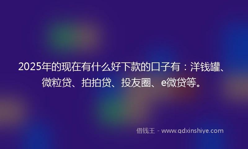 2025年的现在有什么好下款的口子有：洋钱罐、微粒贷、拍拍贷、投友圈、e微贷等。