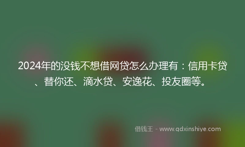 2024年的没钱不想借网贷怎么办理有：信用卡贷、替你还、滴水贷、安逸花、投友圈等。
