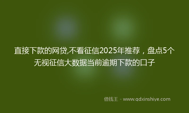 直接下款的网贷,不看征信2025年推荐，盘点5个无视征信大数据当前逾期下款的口子