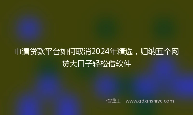 申请贷款平台如何取消2024年精选，归纳五个网贷大口子轻松借软件